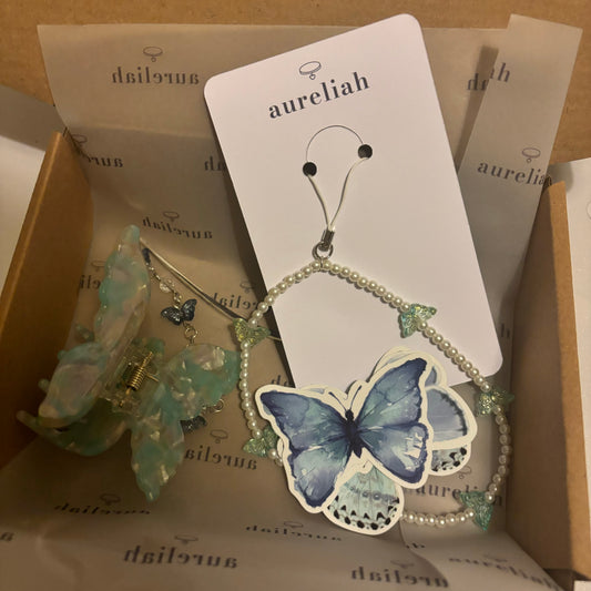 butterfly box